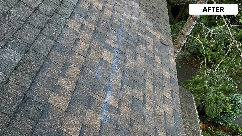 Roof after Valentin Roofing re-roof