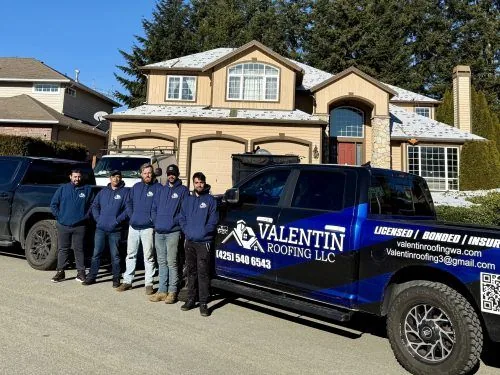 Valentin Roofing project